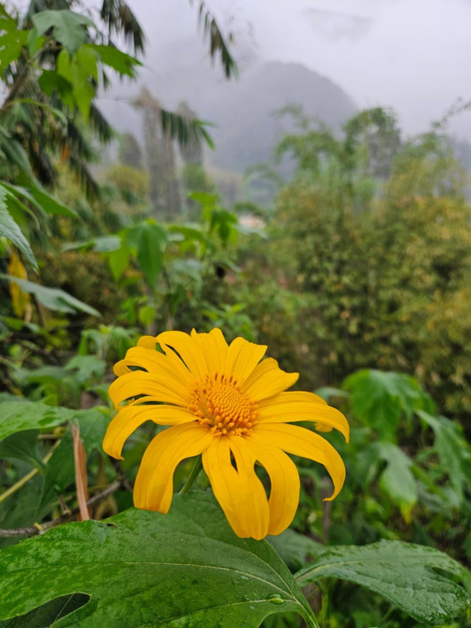 Arum Bromo Villas Ngadisari Kültér fotó